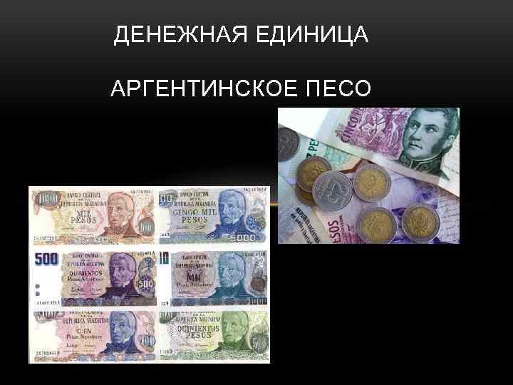 ДЕНЕЖНАЯ ЕДИНИЦА АРГЕНТИНСКОЕ ПЕСО 