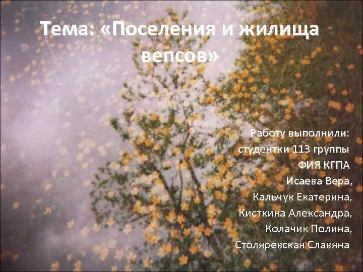 Тема: «Поселения и жилища вепсов» Работу выполнили: студентки 113 группы ФИЯ КГПА Исаева Вера,