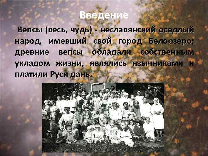 Введение Вепсы (весь, чудь) - неславянский оседлый народ, имевший свой город Белоозеро; древние вепсы