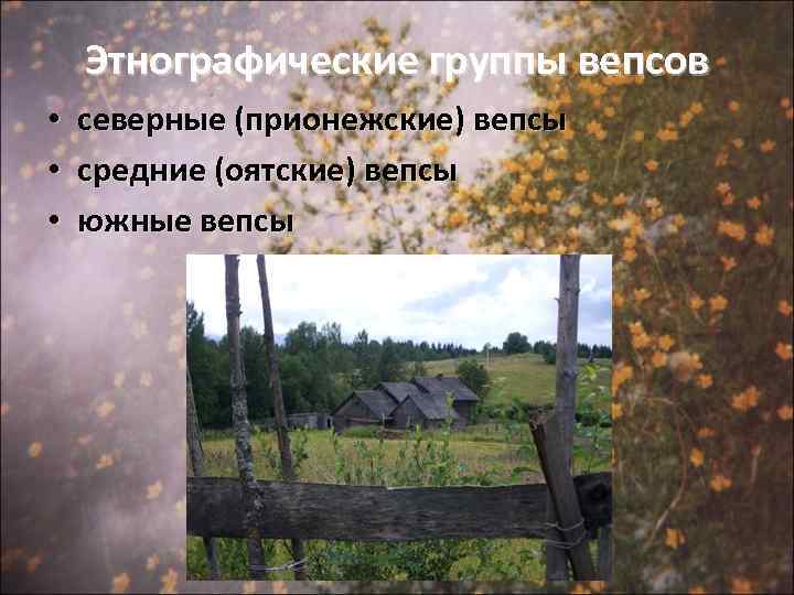Этнографические группы вепсов • северные (прионежские) вепсы • средние (оятские) вепсы • южные вепсы