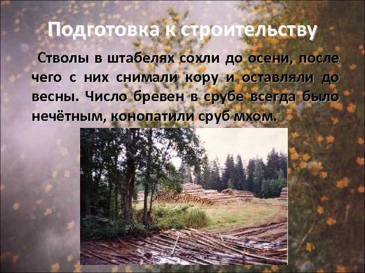 Подготовка к строительству Стволы в штабелях сохли до осени, после чего с них снимали