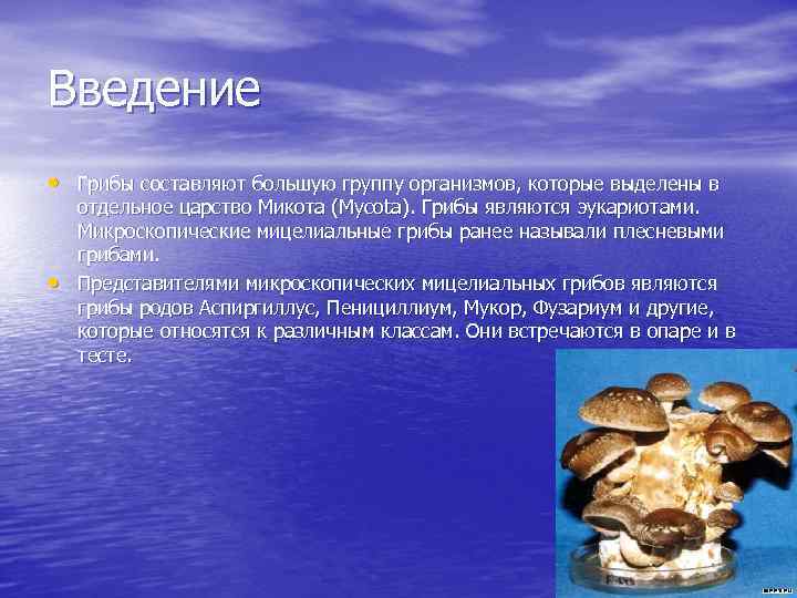 Введение • Грибы составляют большую группу организмов, которые выделены в • отдельное царство Микота