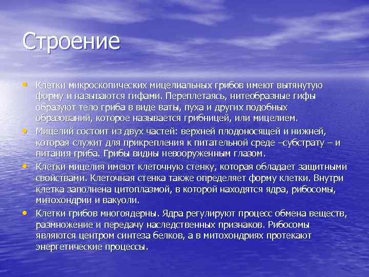 Строение • Клетки микроскопических мицелиальных грибов имеют вытянутую • • • форму и называются