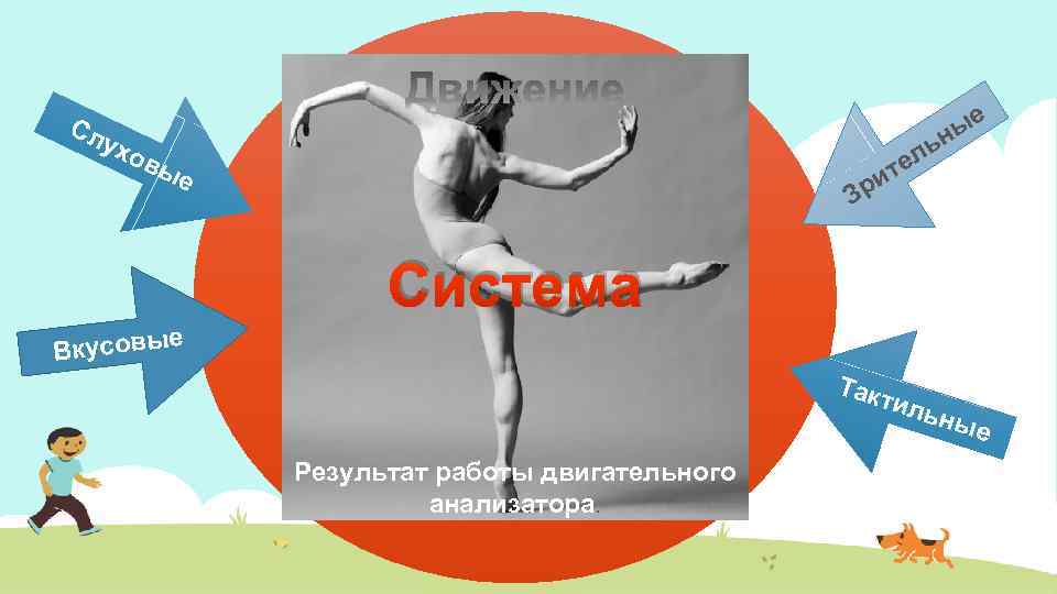 Сл ухо ль е вы ые н ит р е З Система е Вкусовы