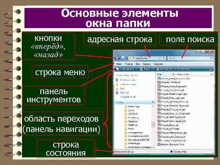 Основные элементы окна папки кнопки «вперёд» , «назад» адресная строка меню панель инструментов область