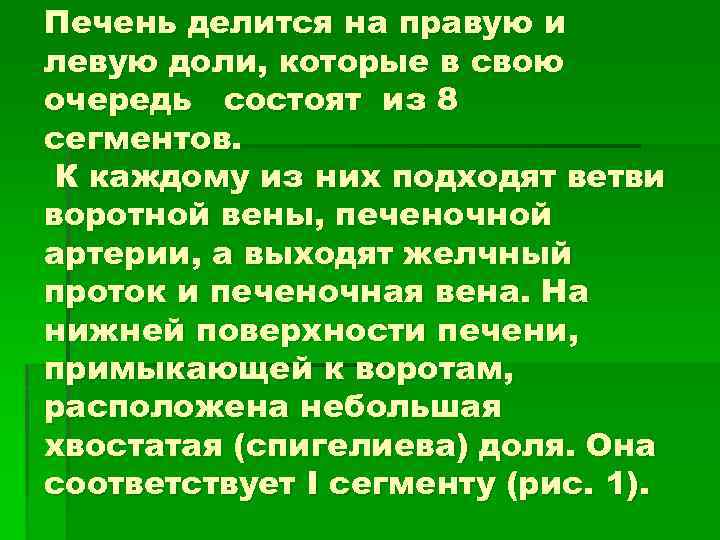 Печень делится на правую и левую доли, которые в свою очередь состоят из 8