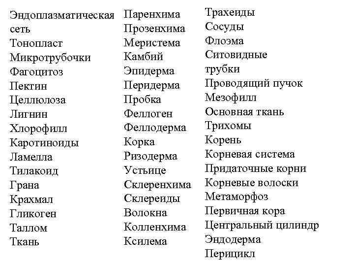 Эндоплазматическая сеть Тонопласт Микротрубочки Фагоцитоз Пектин Целлюлоза Лигнин Хлорофилл Каротиноиды Ламелла Тилакоид Грана Крахмал