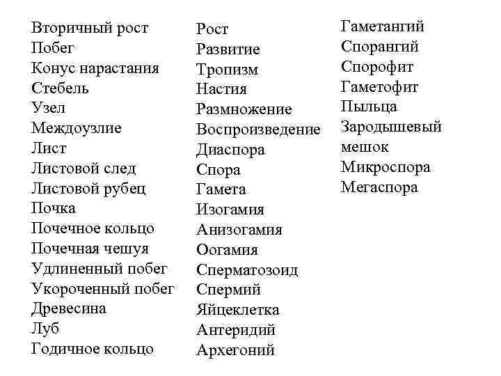 Вторичный рост Побег Конус нарастания Стебель Узел Междоузлие Листовой след Листовой рубец Почка Почечное