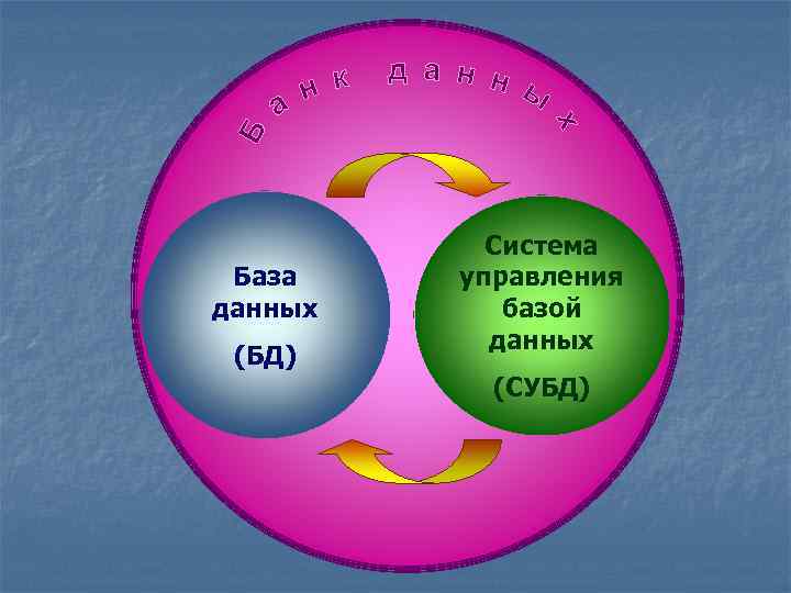 База данных (БД) Система управления базой данных (СУБД) 