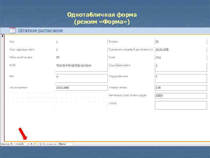 Однотабличная форма (режим «Форма» ) 