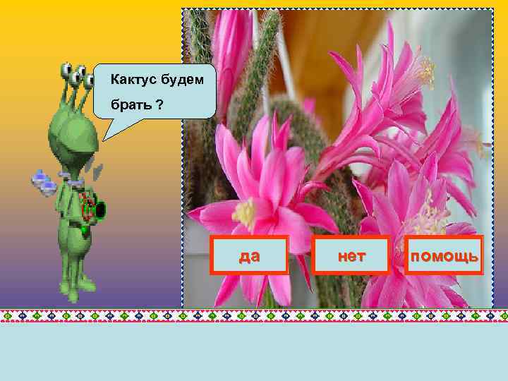 Кактус будем брать ? да нет помощь 
