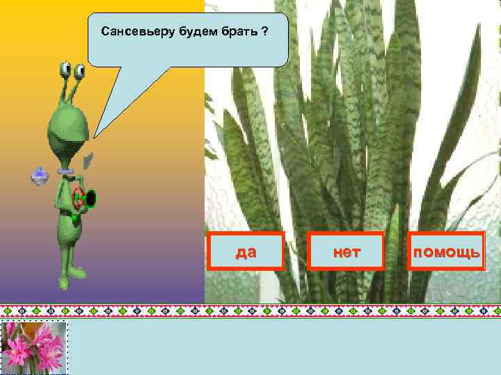 Сансевьеру будем брать ? да нет помощь 