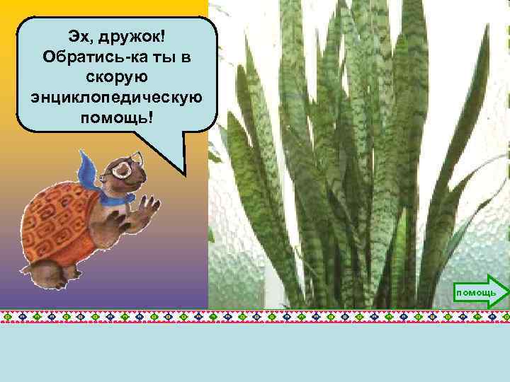 Эх, дружок! Обратись-ка ты в скорую энциклопедическую помощь! помощь 