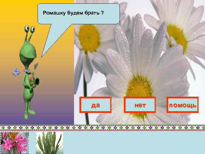 Ромашку будем брать ? да нет помощь 