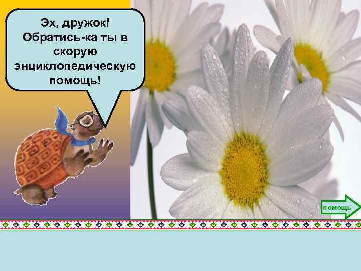 Эх, дружок! Обратись-ка ты в скорую энциклопедическую помощь! помощь 