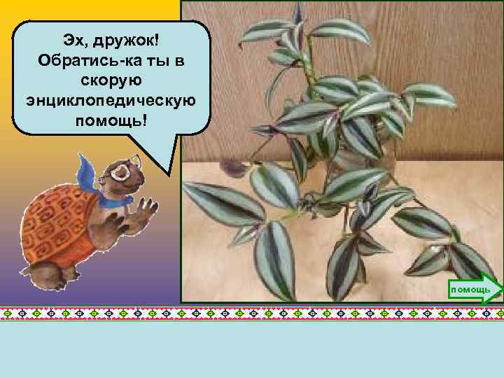 Эх, дружок! Обратись-ка ты в скорую энциклопедическую помощь! помощь 