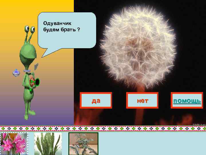 Одуванчик будем брать ? да нет помощь 