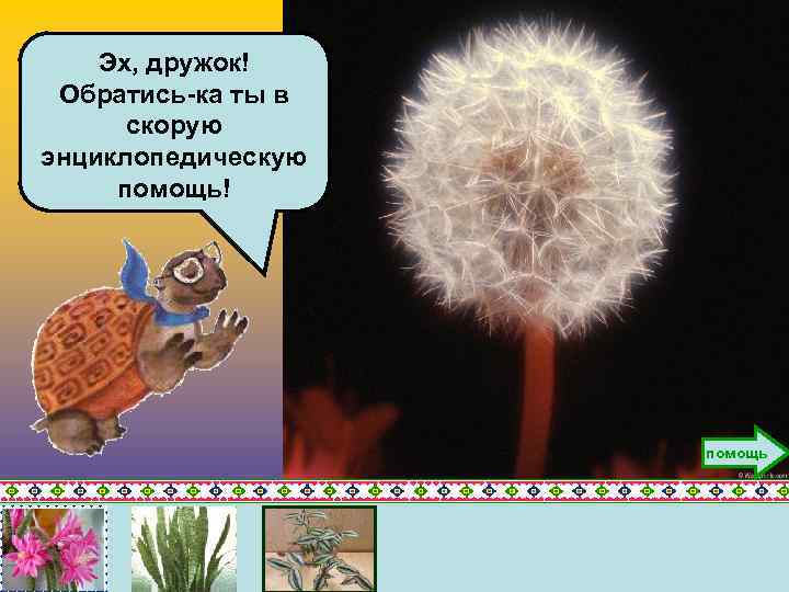 Эх, дружок! Обратись-ка ты в скорую энциклопедическую помощь! помощь 