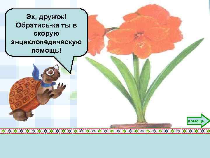 Эх, дружок! Обратись-ка ты в скорую энциклопедическую помощь! помощь 