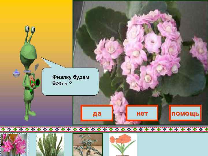 Фиалку будем брать ? да нет помощь 