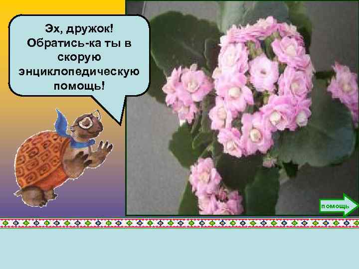 Эх, дружок! Обратись-ка ты в скорую энциклопедическую помощь! помощь 