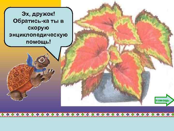 Эх, дружок! Обратись-ка ты в скорую энциклопедическую помощь! помощь 