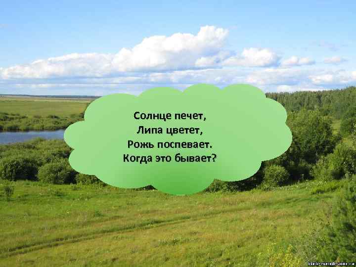 Солнце печет, Липа цветет, Рожь поспевает. Когда это бывает? 