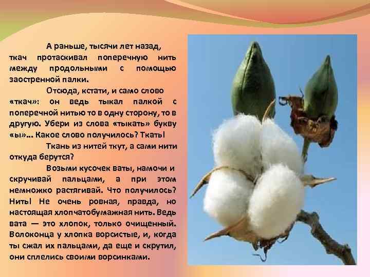 А раньше, тысячи лет назад, ткач протаскивал поперечную нить между продольными с помощью заостренной