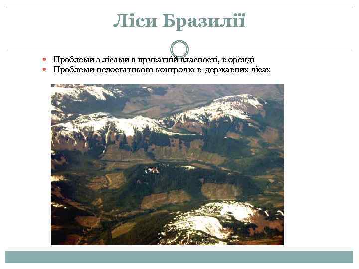 Ліси Бразилії Проблеми з лісами в приватній власності, в оренді Проблеми недостатнього контролю в