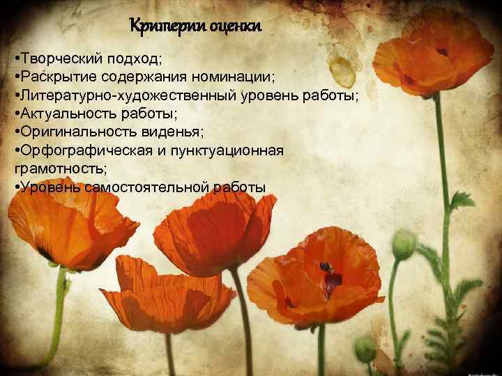 Критерии оценки • Творческий подход; • Раскрытие содержания номинации; • Литературно-художественный уровень работы; •