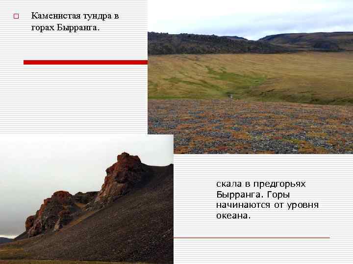 o Каменистая тундра в горах Бырранга. скала в предгорьях Бырранга. Горы начинаются от уровня