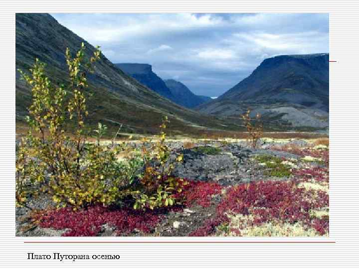 Плато Путорана осенью 