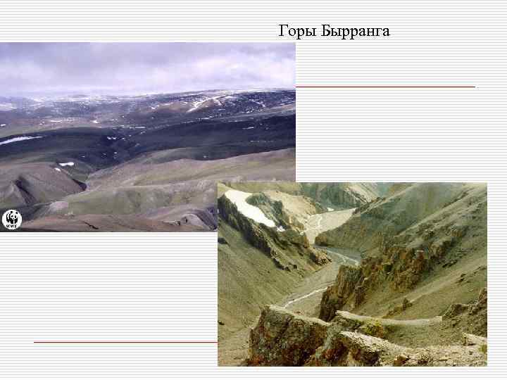 Горы Бырранга 