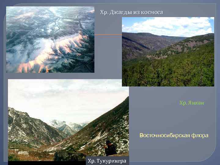 Хр. Джагды из космоса Хр. Янкан Восточносибирская флора Хр. Тукурингра 