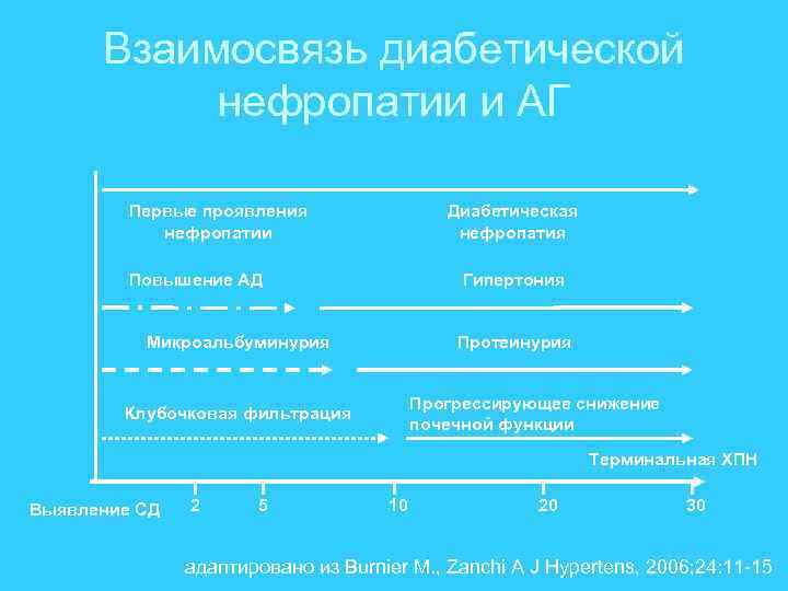 Взаимосвязь диабетической нефропатии и АГ Первые проявления нефропатии Диабетическая нефропатия Повышение АД Гипертония Микроальбуминурия