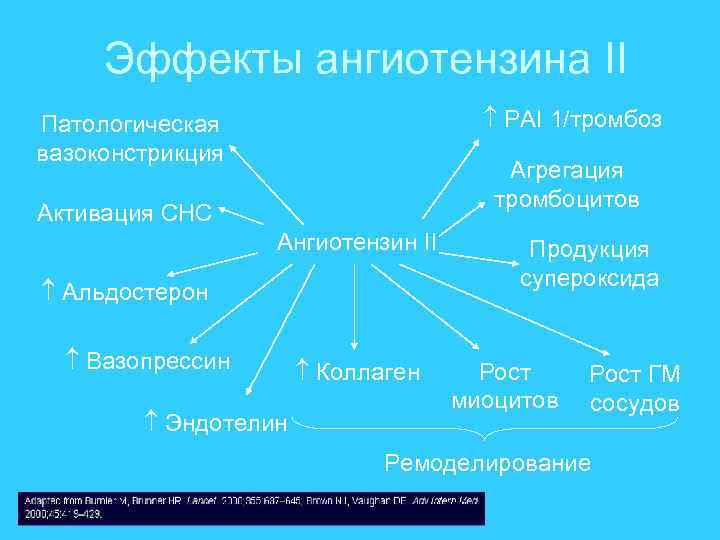 Эффекты ангиотензина II PAI 1/тромбоз Патологическая вазоконстрикция Агрегация тромбоцитов Активация СНС Ангиотензин II Альдостерон