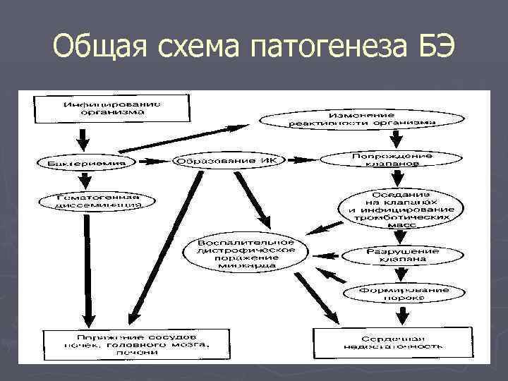 Общая схема патогенеза БЭ 