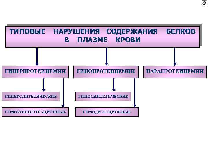 Патофизиология белкового обмена презентация