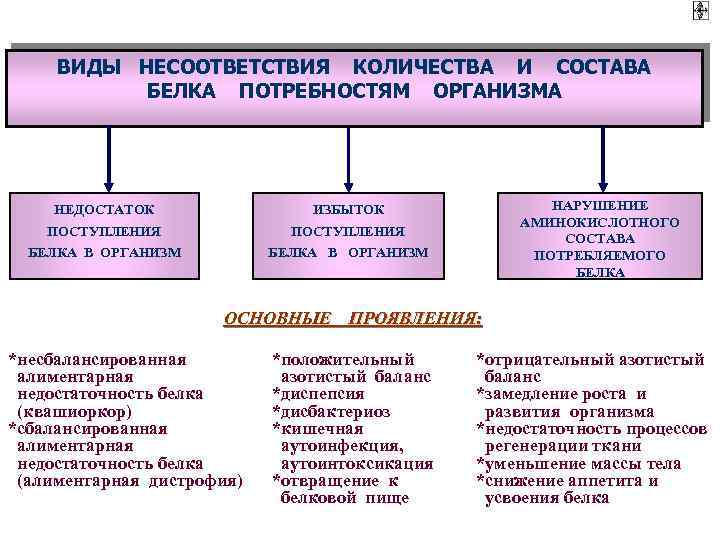 ВИДЫ НЕСООТВЕТСТВИЯ КОЛИЧЕСТВА И СОСТАВА БЕЛКА ПОТРЕБНОСТЯМ ОРГАНИЗМА НЕДОСТАТОК ПОСТУПЛЕНИЯ БЕЛКА В ОРГАНИЗМ НАРУШЕНИЕ