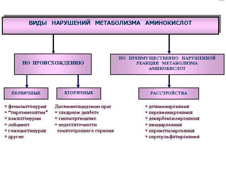 ВИДЫ НАРУШЕНИЙ МЕТАБОЛИЗМА АМИНОКИСЛОТ ПО ПРОИСХОЖДЕНИЮ ПЕРВИЧНЫЕ * фенилкетонурия * “тирозинопатии” * алкаптонурии *