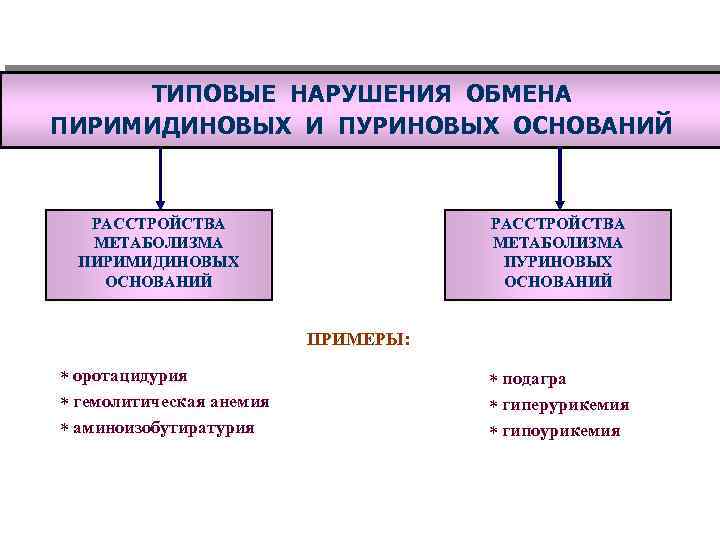 ТИПОВЫЕ НАРУШЕНИЯ ОБМЕНА ПИРИМИДИНОВЫХ И ПУРИНОВЫХ ОСНОВАНИЙ РАССТРОЙСТВА МЕТАБОЛИЗМА ПИРИМИДИНОВЫХ ОСНОВАНИЙ РАССТРОЙСТВА МЕТАБОЛИЗМА ПУРИНОВЫХ