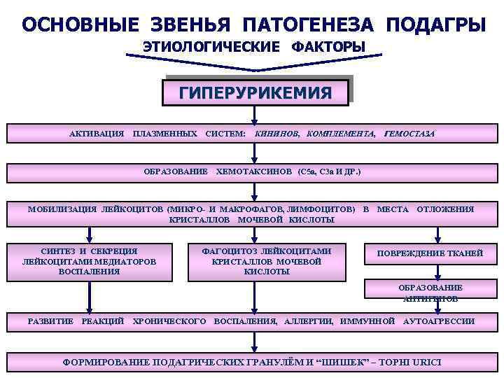 ОСНОВНЫЕ ЗВЕНЬЯ ПАТОГЕНЕЗА ПОДАГРЫ ЭТИОЛОГИЧЕСКИЕ ФАКТОРЫ ГИПЕРУРИКЕМИЯ АКТИВАЦИЯ ПЛАЗМЕННЫХ СИСТЕМ: ОБРАЗОВАНИЕ КИНИНОВ, КОМПЛЕМЕНТА, ГЕМОСТАЗА