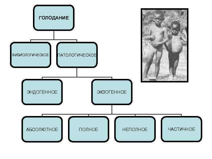 Голодание патофизиология презентация