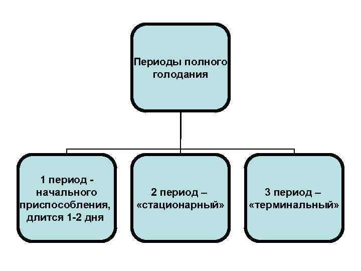 Периоды полного голодания 1 период начального приспособления, длится 1 -2 дня 2 период –