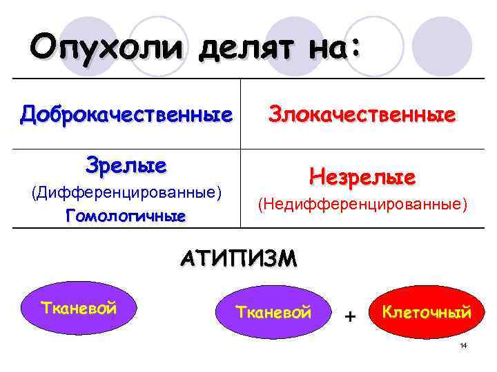 Опухоли делят на: Доброкачественные Злокачественные Зрелые (Дифференцированные) Гомологичные Незрелые (Недифференцированные) АТИПИЗМ Тканевой + Клеточный