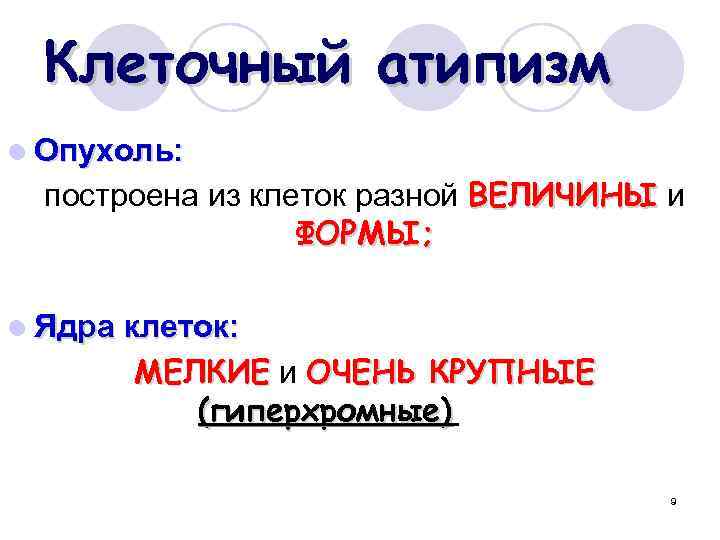 Клеточный атипизм l Опухоль: построена из клеток разной ВЕЛИЧИНЫ и ФОРМЫ; l Ядра клеток: