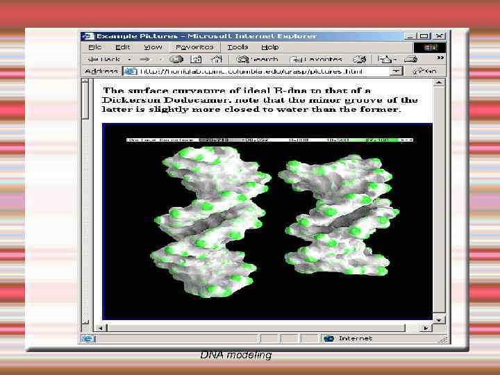 DNA modeling 
