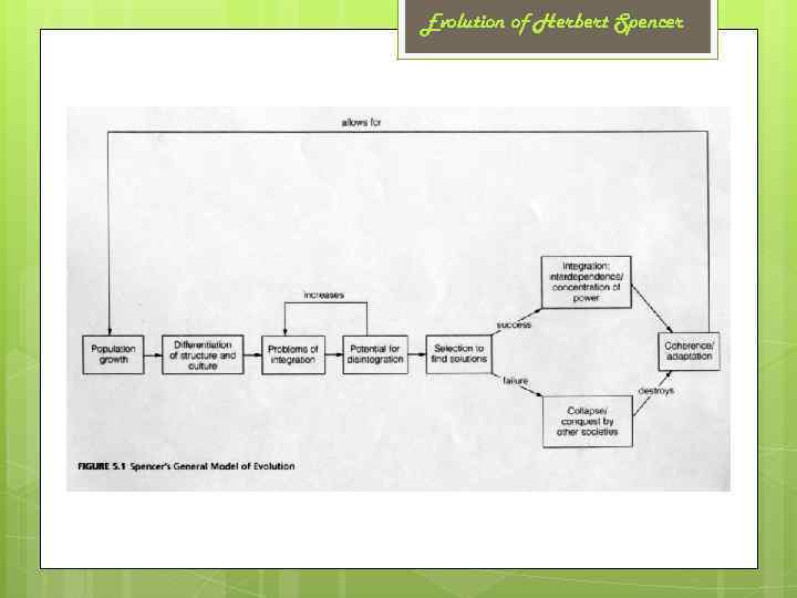 Evolution of Herbert Spencer 