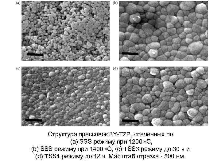 Структура прессовок 3 Y-TZP, спеченных по (a) SSS режиму при 1200 ◦C, (b) SSS