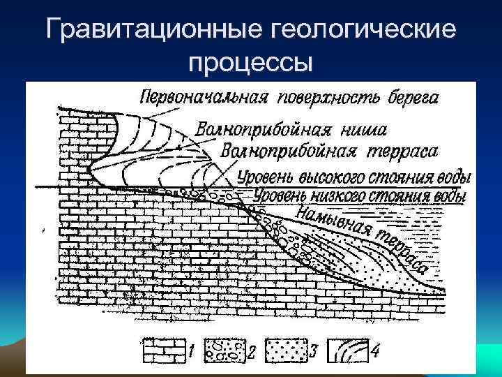 Экзогенные геологические процессы презентация